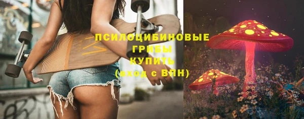 соль курить ск Ладушкин