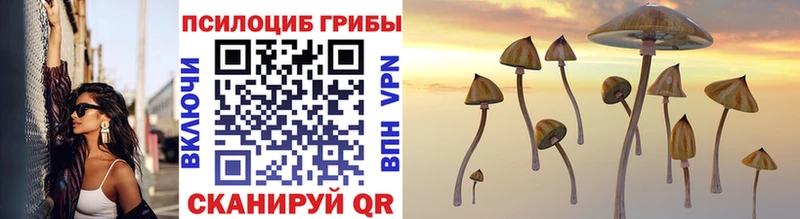 Галлюциногенные грибы MAGIC MUSHROOMS гидра ссылки Вичуга