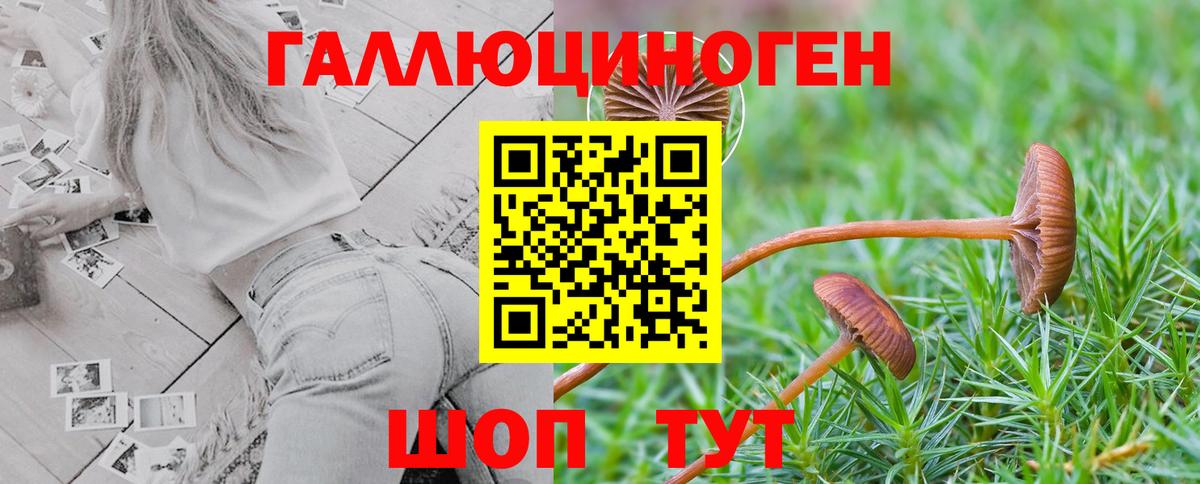 Вичуга  Псилоцибиновые грибы Psilocybine cubensis  Галлюциногенные грибы Psilocybine cubensis  Вход с VPN 