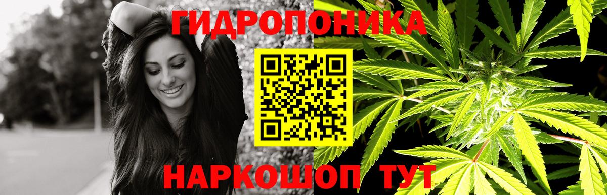 Конопля White Widow  Вход с VPN  Вичуга  Шишки марихуана сатива  Конопля OG Kush 